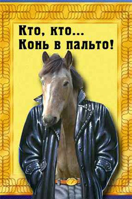 http://horsesports.ucoz.ru/_fr/0/3798574.jpg